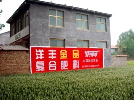 汉源如何让墙体广告展现最大化效果